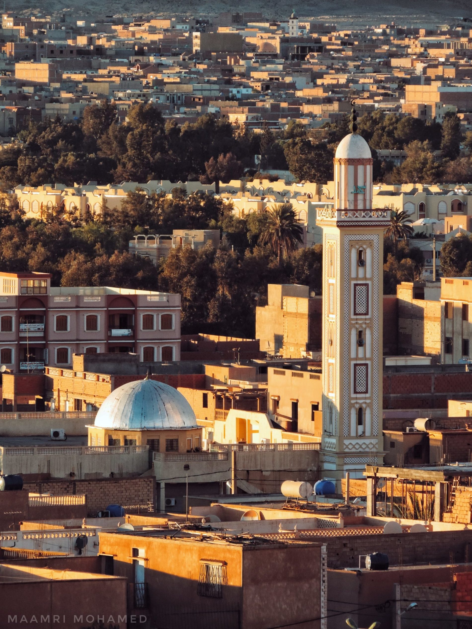 The Harvest Will Come